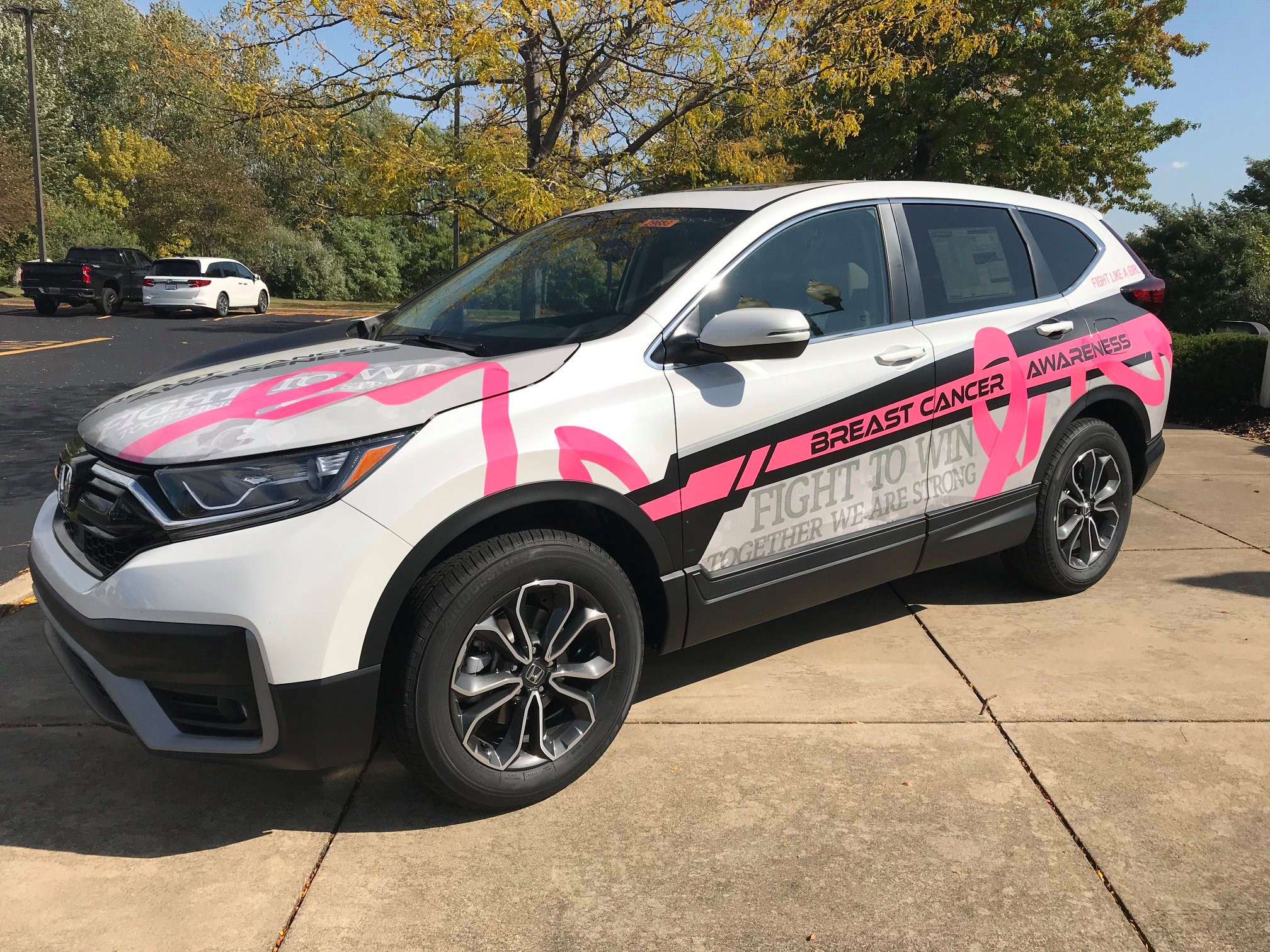 Breast Cancer Awareness Vehicle Graphics project image 4