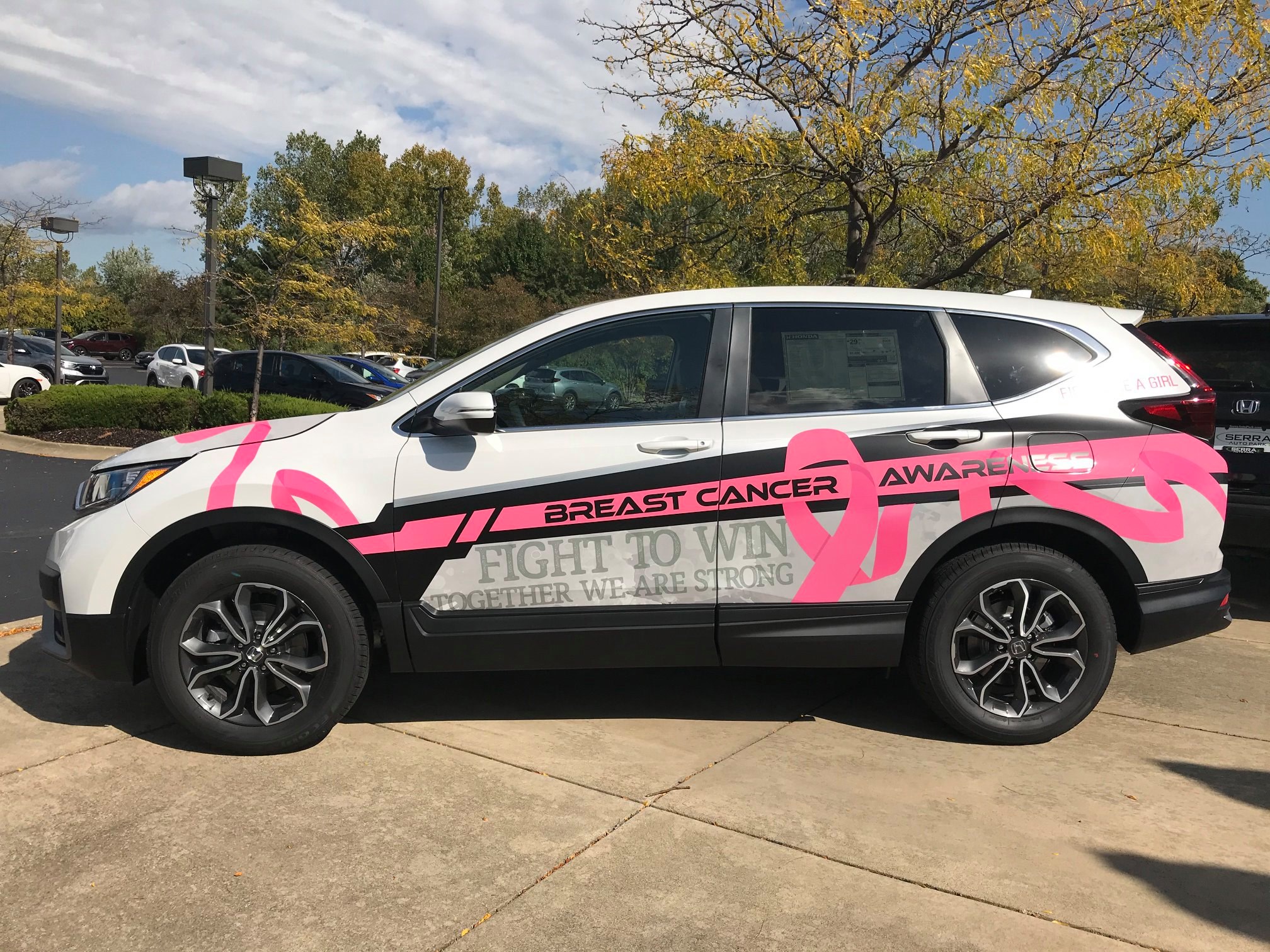 Breast Cancer Awareness Vehicle Graphics project image 5