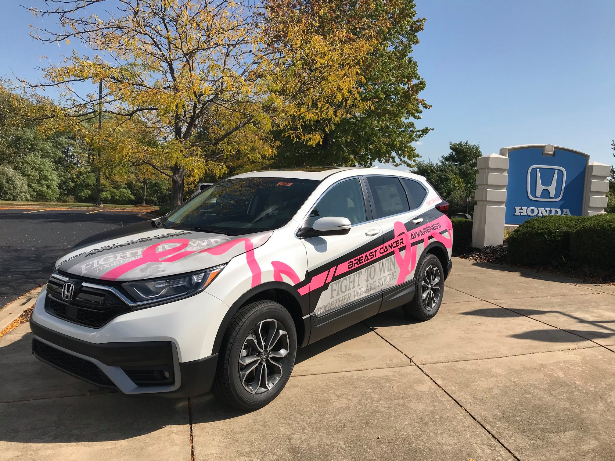 Breast Cancer Awareness Vehicle Graphics project image 6