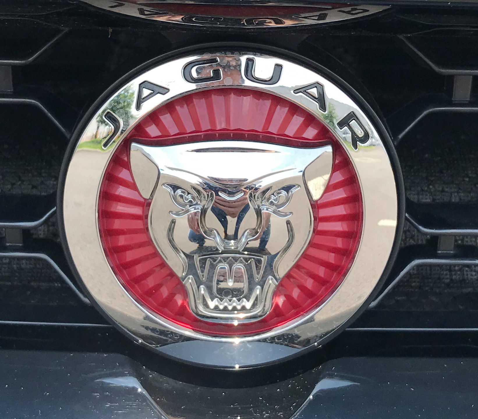 Jaguar Specialty Wrap project image 2