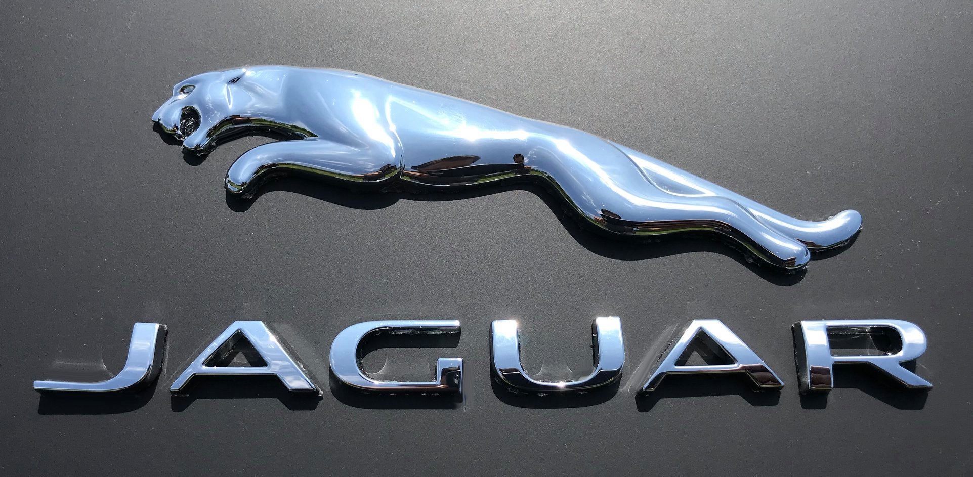 Jaguar Specialty Wrap project image 5