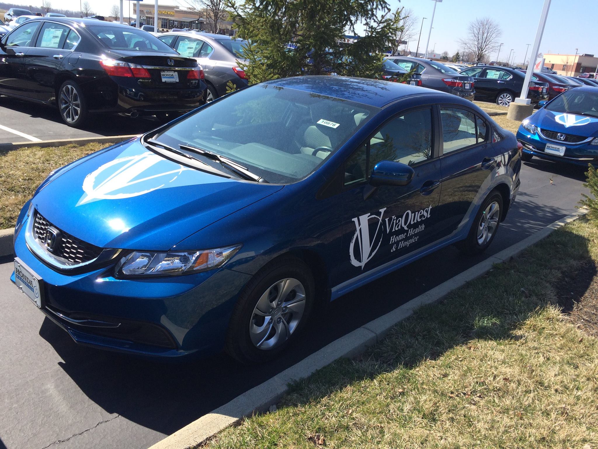 ViaQuest Fleet Wrap project image 1