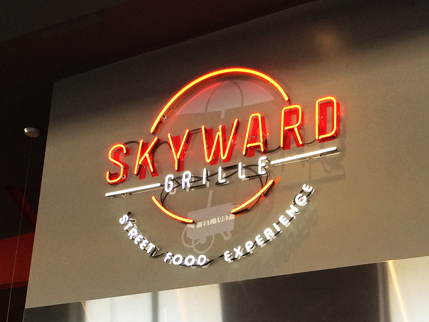 Skyward Grille project image 1