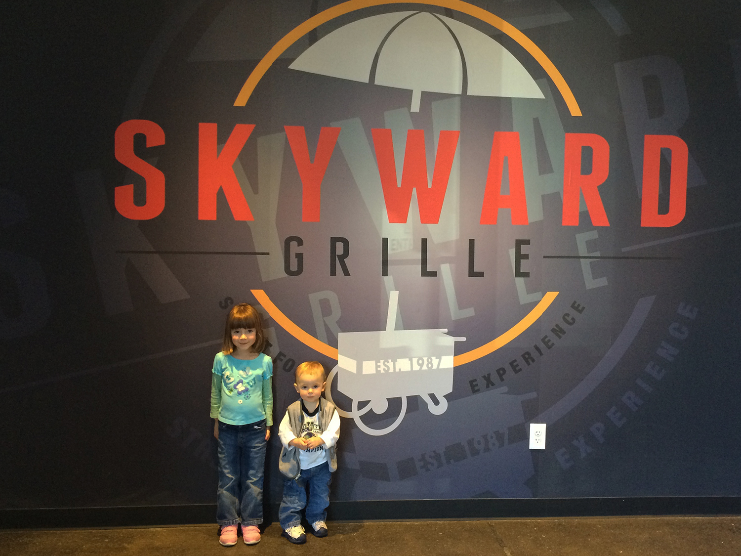 Skyward Grille project image 3